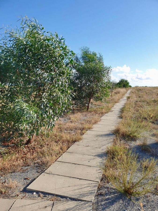 Villa Vista Mare Su Tre Piani Con Giardino à Falerna Extérieur photo